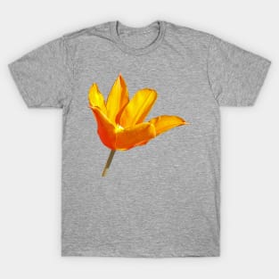 Orange Tulip Floral Photo T-Shirt